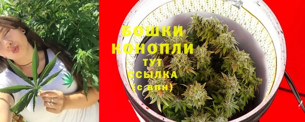 героин Горняк