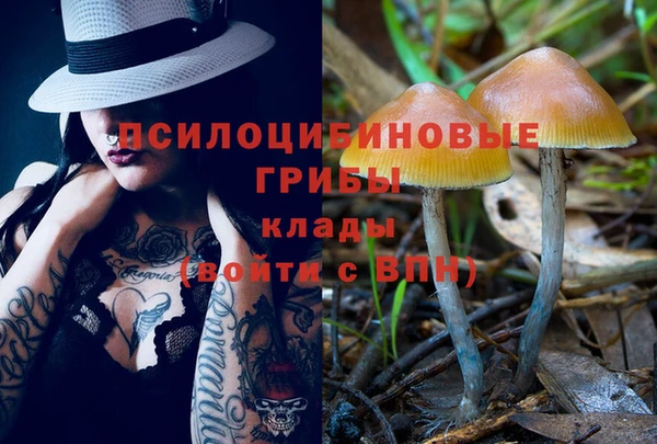 героин Горняк