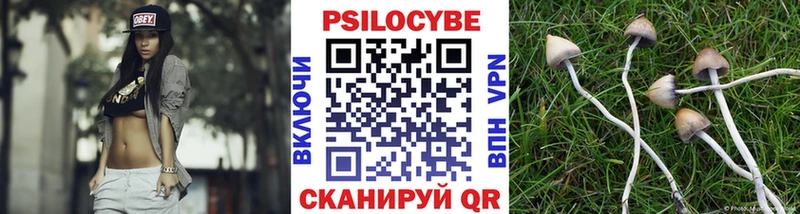 Псилоцибиновые грибы Magic Shrooms  Павловская 