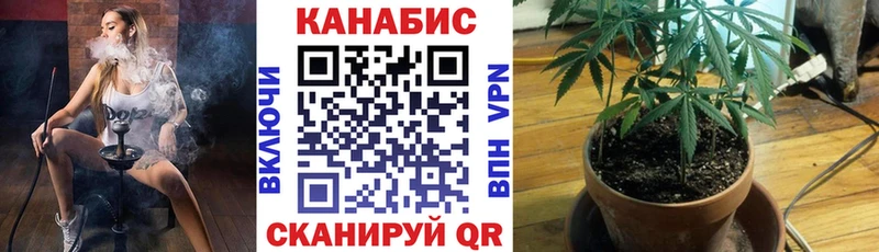 Шишки марихуана индика  Павловская 
